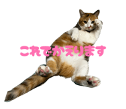 847370827