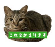 847370829