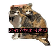 847370831