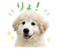 847370874