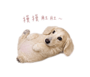 847372760