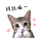 847372763