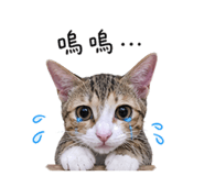 847372765