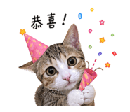 847372774