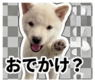 847375345
