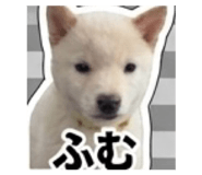 847375346