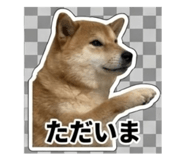 847375348