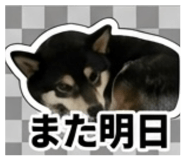 847375352