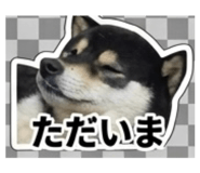 847375353