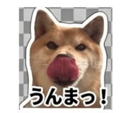 847375356