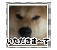 847375357