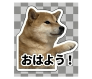 847375359