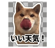 847375360