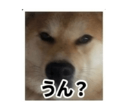 847375361