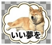 847375364