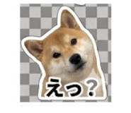 847375372