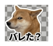 847375374