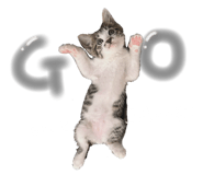 847375884