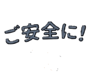 847376146