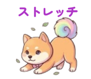 847376353