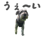 847376442