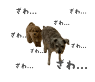 847376460