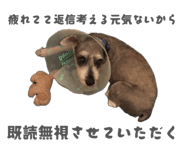 847376463