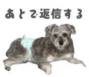 847376464