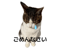 847376475
