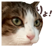 847376481