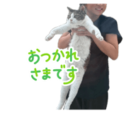 847376484