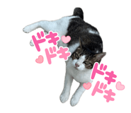 847376489