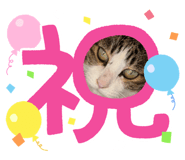 847376503