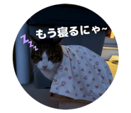 847376505