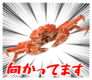 847376645