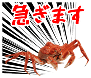847376646
