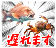 847376647