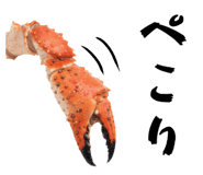 847376651