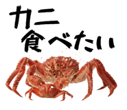 847376653