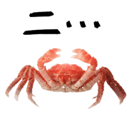 847376662