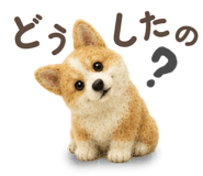 847376746