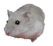 847378898
