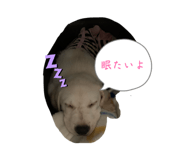 847379241