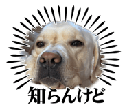 847379245