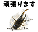 847379981