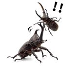 847379991