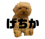 847384865