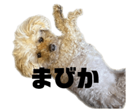 847384866