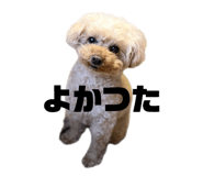 847384867