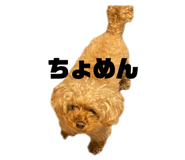 847384868